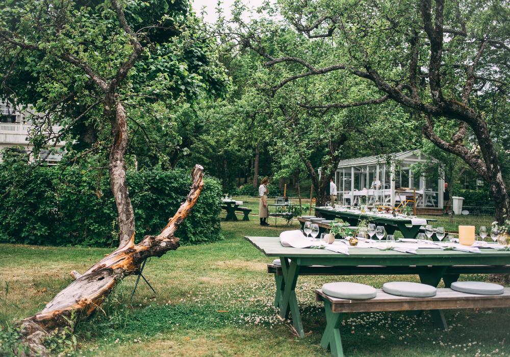 UV-tradgard-1000×700 trädgården på ulriksdals värdshus