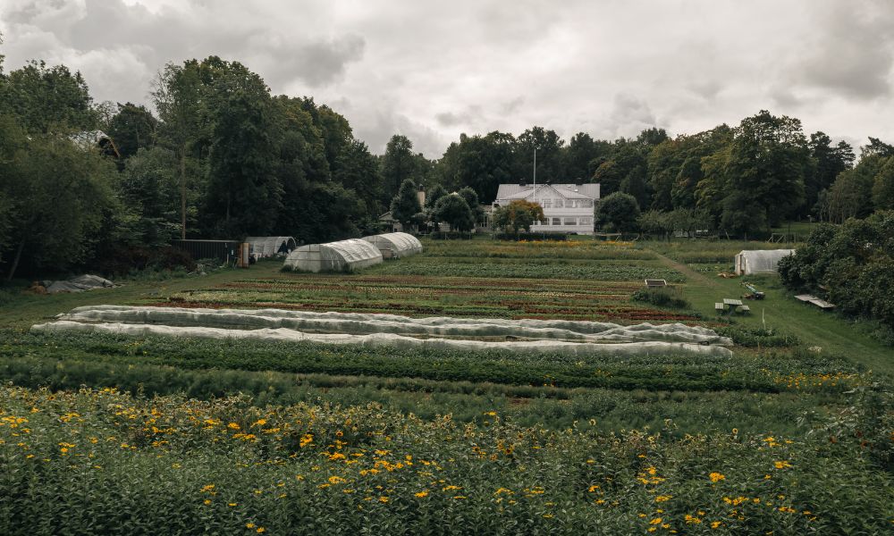 ulriksdal-vardshus-odling-6 Odlingen på Ulriksdals Värdshus